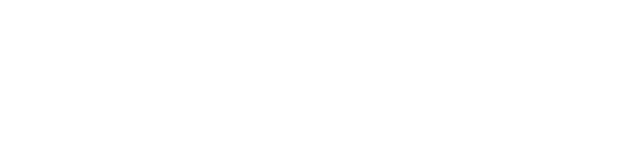 Logo IWO